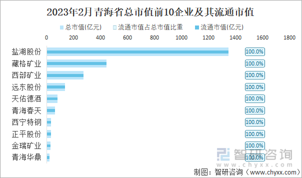 2023年2月青海省总市值前10企业及其流通市值