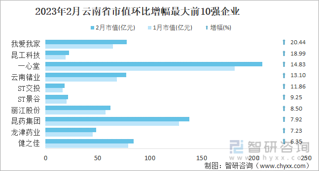 2023年2月云南省市值环比增幅最大前10强企业
