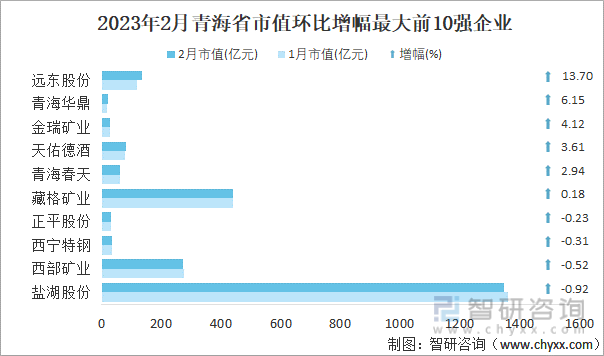2023年2月青海省市值环比增幅最大前10强企业