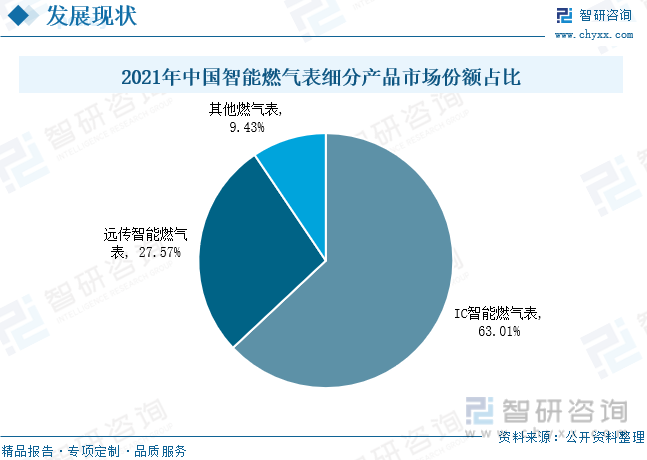 中国智能燃气表细分产品主要包括IC卡智能燃气表、远传燃气表和其他燃气表。2021年中国智能燃气表市场规模为87.61亿元，IC卡智能燃气表的市场规模为55.20亿元；远传燃气表的市场规模为24.15亿元；其他智能燃气表的市场规模为8.26亿元。其中IC智能燃气表的市场份额占比最重，占比为63.01%，其次是远传智能燃气表，占比为27.57%，其他燃气表占比为9.43%。