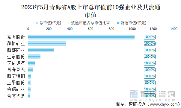 2023年5月青海省A股上市总市值前10强企业及其流通市值