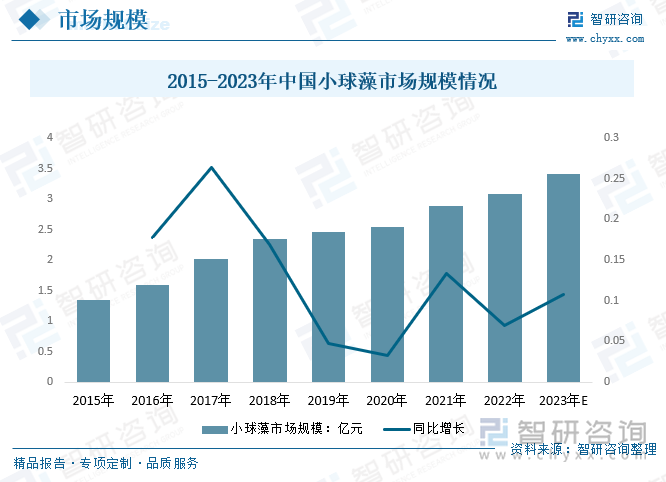 隨著全球能源消費量的迅速增長與傳統(tǒng)化石能源的枯竭，可再生能源的開發(fā)與利用成為能源行業(yè)的發(fā)展新方向，其中生物質(zhì)能以其資源種類多樣、地域分布廣泛、應(yīng)用技術(shù)較成熟的特點成為可再生能源領(lǐng)域的研究亮點。微藻作為一種生長速率高、養(yǎng)殖難度低且組分易調(diào)控的生物質(zhì)資源被用于生產(chǎn)生物油產(chǎn)品及高值化學品。其應(yīng)用領(lǐng)域不斷被開發(fā)，市場規(guī)模呈現(xiàn)不斷增長趨勢。2022年，我國小球藻市場規(guī)模從2015年的1.35億元增長至3.08億元，7年之間翻了一翻多，預(yù)計2023年我國小球藻市場規(guī)模有望達到3.41億元。