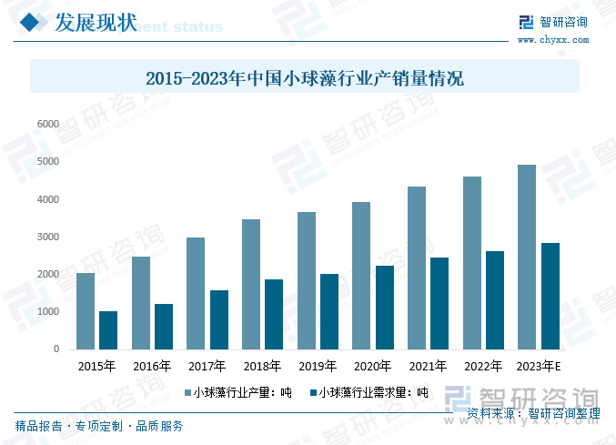目前，我國小球藻生產(chǎn)主要分布在內(nèi)蒙古、廣東和福建江西和山東等地。2022年我國小球藻行業(yè)產(chǎn)量從2015年的2060噸增長至4344噸，需求量從2015年的1028噸增長至2465噸；預(yù)計2023年我國小球藻行業(yè)產(chǎn)量有望達到4935噸，需求量有望增長至2858噸。
