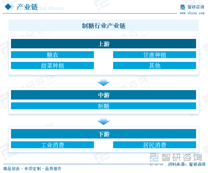 制糖行业产业链