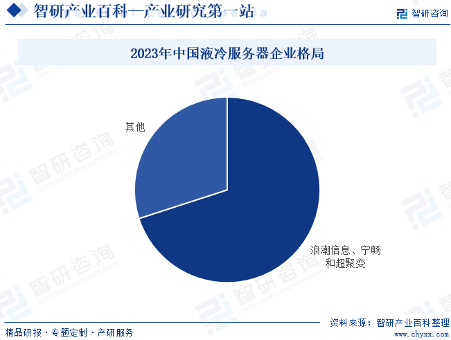 2023年中国液冷服务器企业格局