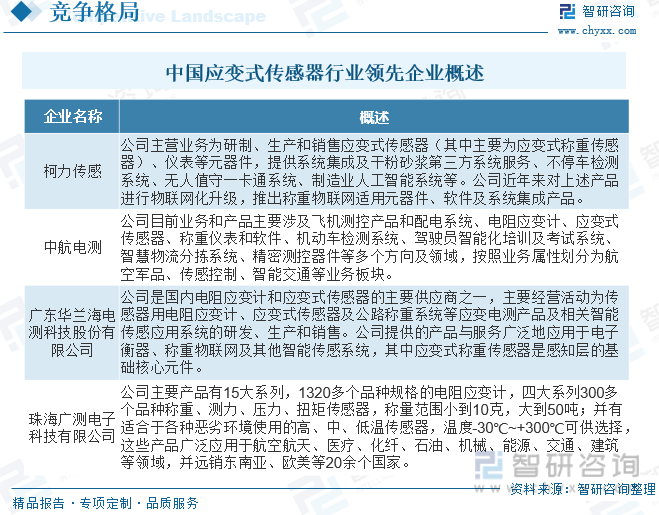 中国应变式传感器行业领先企业概述