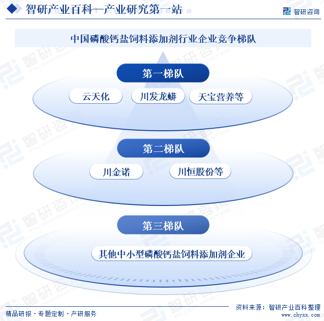 中国磷酸钙盐饲料添加剂行业企业竞争梯队