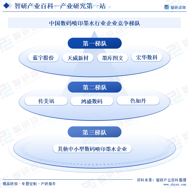 中国数码喷印墨水行业企业竞争梯队