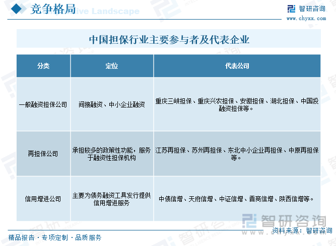 中国担保公司分类及代表企业