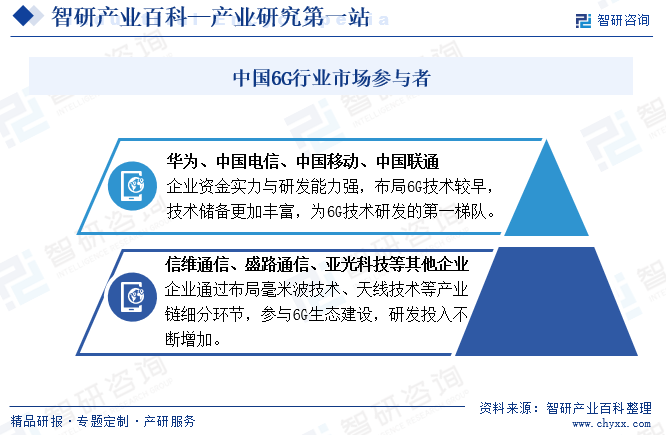 中国6G行业市场参与者