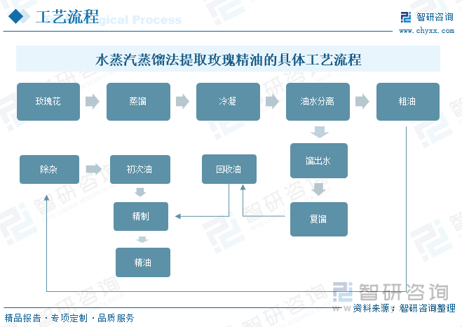 水蒸汽蒸馏法提取玫瑰精油的具体工艺流程