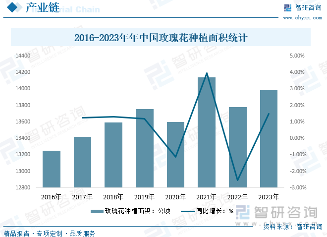 2016-2023年年中国玫瑰花种植面积统计
