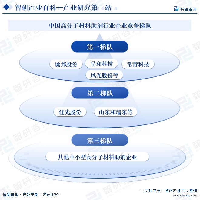 中国高分子材料助剂行业企业竞争梯队