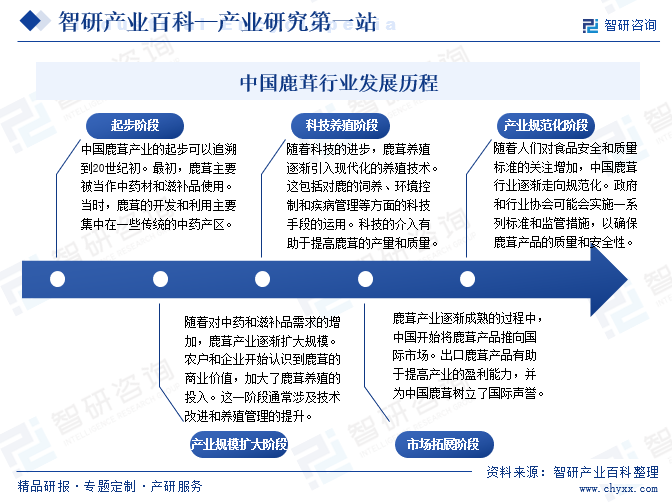 万博ManBetX首页鹿茸-产业百科_智研咨询(图4)
