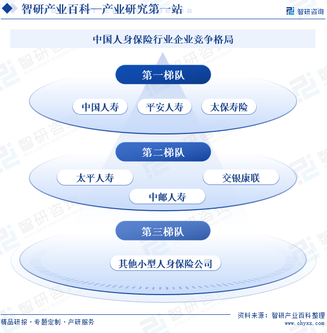 中国人身保险行业企业竞争格局