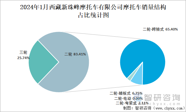 2024年1月西藏新珠峰摩托车有限公司摩托车销量结构占比统计图