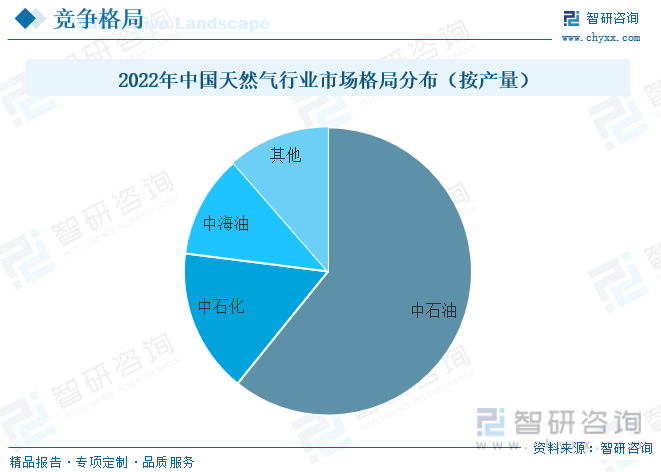 2022年中国天然气行业市场格局分布（按产量）
