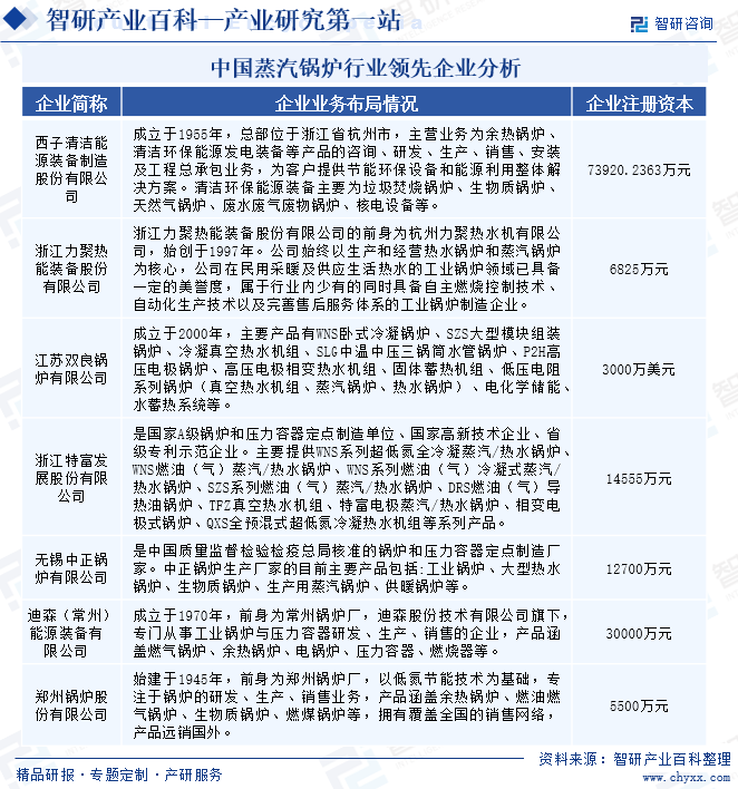 中国蒸汽锅炉行业领先企业分析