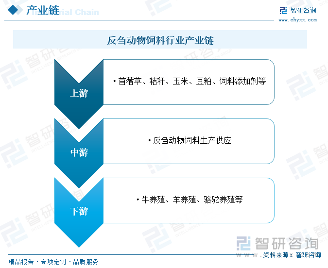 反刍动物饲料行业产业链