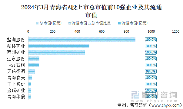 2024年3月青海省A股上市总市值前10强企业及其流通市值