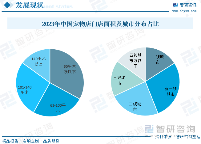 2023年中国宠物店门店面积及城市分布占比