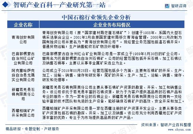 中国石棉行业领先企业分析