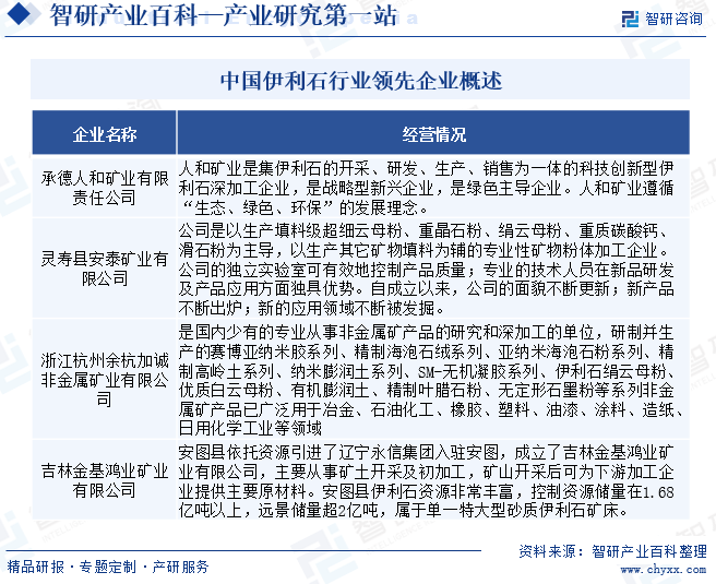 中国伊利石行业领先企业概述