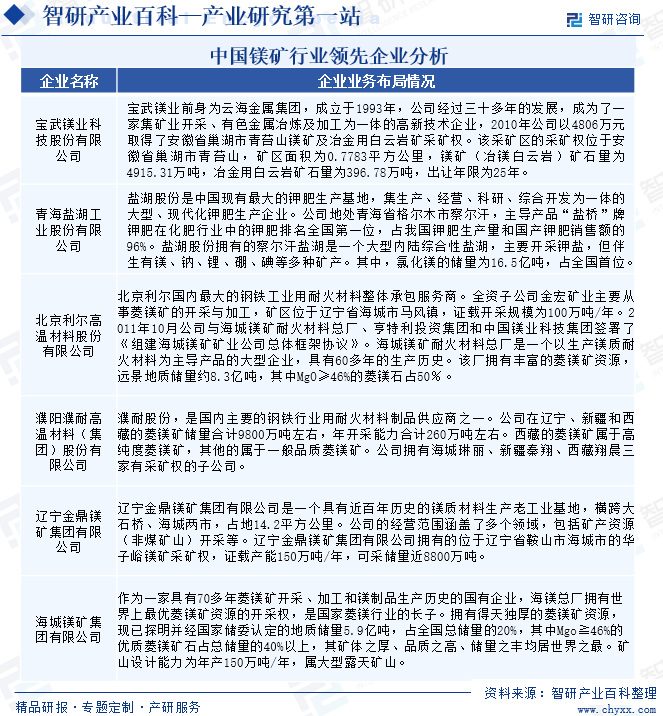 中国镁矿行业领先企业分析