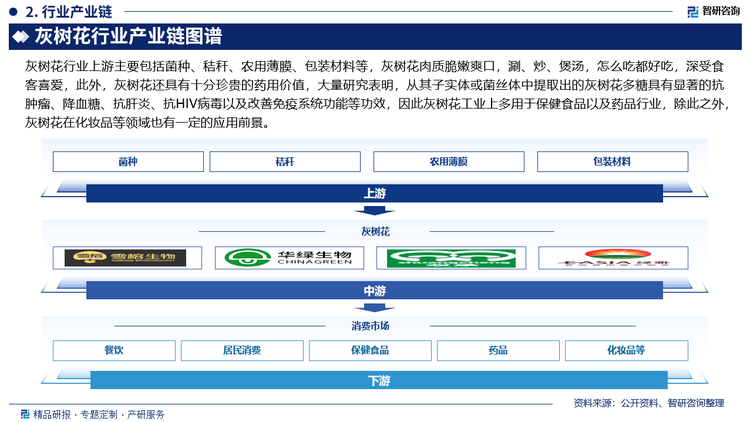 灰树花行业上游主要包括菌种、秸秆、农用薄膜、包装材料等，灰树花肉质脆嫩爽口，涮、炒、煲汤，怎么吃都好吃，深受食客喜爱，此外，灰树花还具有十分珍贵的药用价值，大量研究表明，从其子实体或菌丝体中提取出的灰树花多糖具有显著的抗肿瘤、降血糖、抗肝炎、抗HIV病毒以及改善免疫系统功能等功效，因此灰树花工业上多用于保健食品以及药品行业，除此之外，灰树花在化妆品等领域也有一定的应用前景。