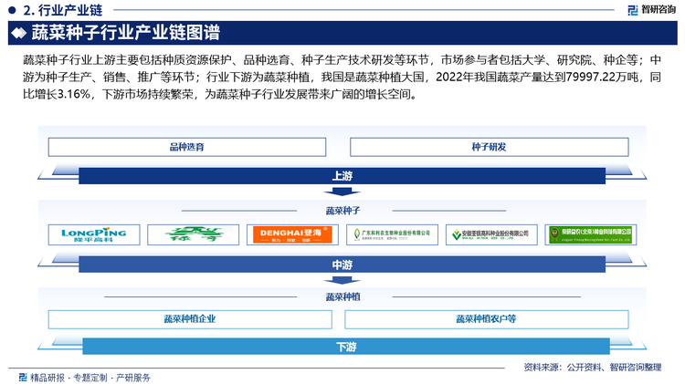 蔬菜种子行业上游主要包括种质资源保护、品种选育、种子生产技术研发等环节，市场参与者包括大学、研究院、种企等；中游为种子生产、销售、推广等环节；行业下游为蔬菜种植，我国是蔬菜种植大国，2022年我国蔬菜产量达到79997.22万吨，同比增长3.16%，下游市场持续繁荣，为蔬菜种子行业发展带来广阔的增长空间。