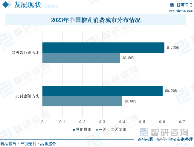 2023年中国榴莲消费城市分布情况
