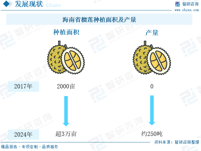 2024年中国榴莲行业供需现状及主要产地分析:中国榴莲