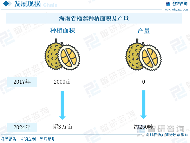 海南省榴莲种植面积及产量