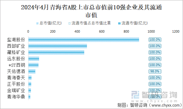 2024年4月青海省A股上市总市值前10强企业及其流通市值