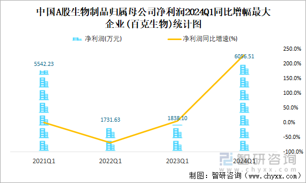 中国A股生物制品归属母公司净利润2024Q1同比增幅最大企业(百克生物)统计图