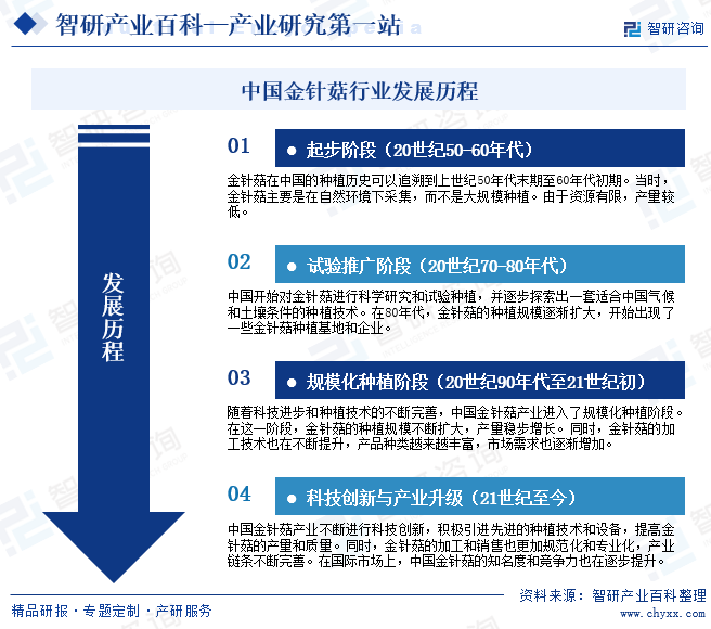 中国金针菇行业发展历程