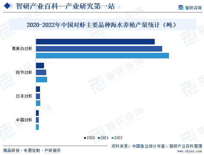 2020-2022年中国对虾主要品种海水养殖产量统计（吨）