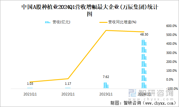 中国A股种植业2024Q1营收增幅最大企业(万辰集团)统计图