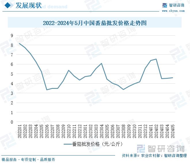 2022-2024年5月中国番茄批发价格走势图