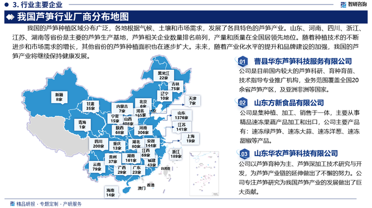 我国的芦笋种植区域分布广泛，各地根据气候、土壤和市场需求，发展了各具特色的芦笋产业。山东、河南、四川、浙江、江苏、湖南等省份是主要的芦笋生产基地，芦笋相关企业数量排名前列，产量和质量在全国居领先地位。随着种植技术的不断进步和市场需求的增长，其他省份的芦笋种植面积也在逐步扩大。未来，随着产业化水平的提升和品牌建设的加强，我国的芦笋产业将继续保持健康发展。