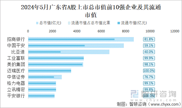 2024年5月广东省A股上市总市值前10强企业及其流通市值
