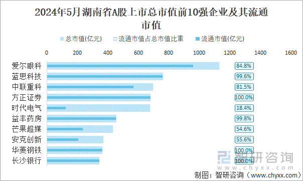 2024年5月湖南省A股上市总市值前10强企业及其流通市值