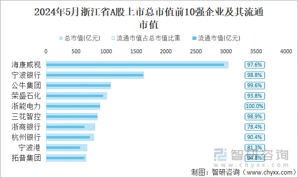 2024年5月浙江省A股上市总市值前10强企业及其流通市值