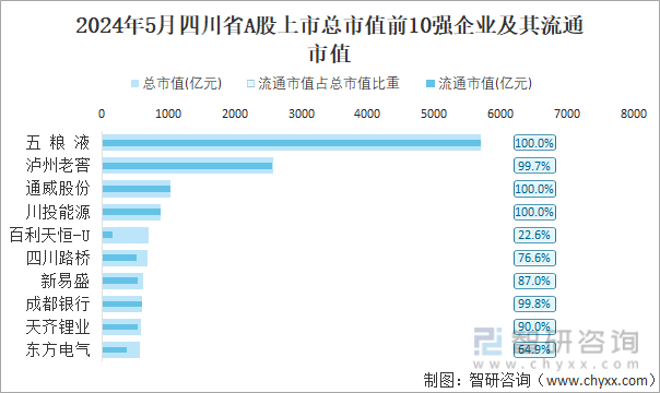 2024年5月四川省A股上市总市值前10强企业及其流通市值