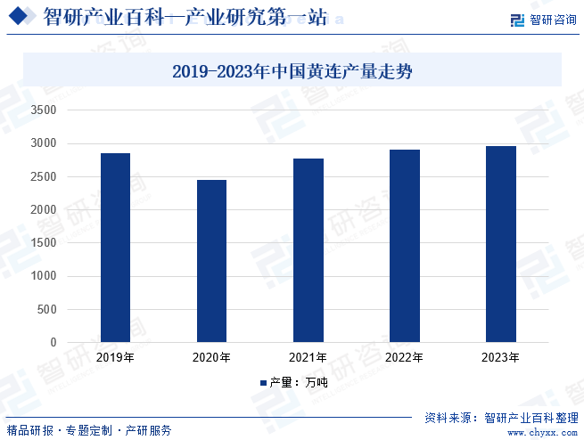 2019-2023年中国黄连产量走势
