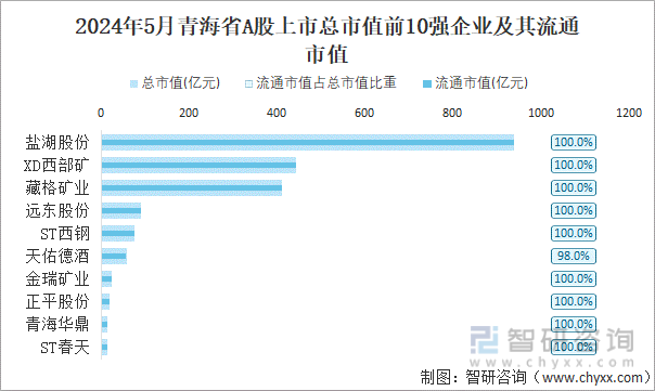 2024年5月青海省A股上市总市值前10强企业及其流通市值