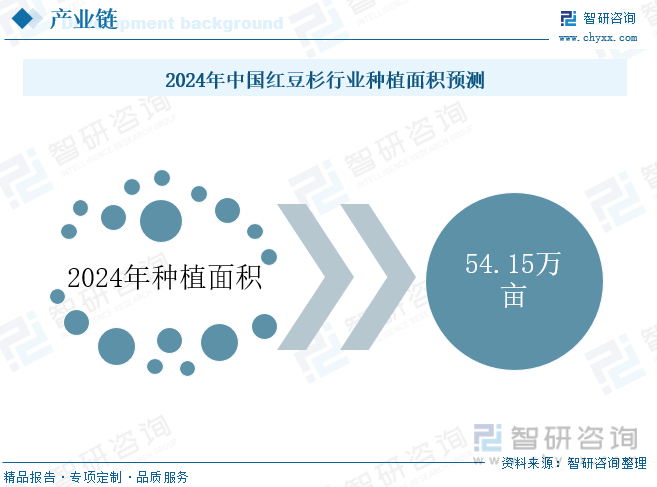 2024年中国红豆杉行业种植面积预测