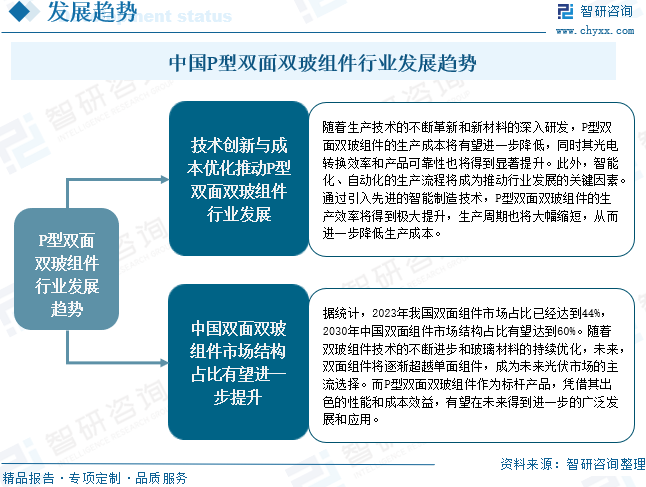 中国P型双面双玻组件行业发展趋势