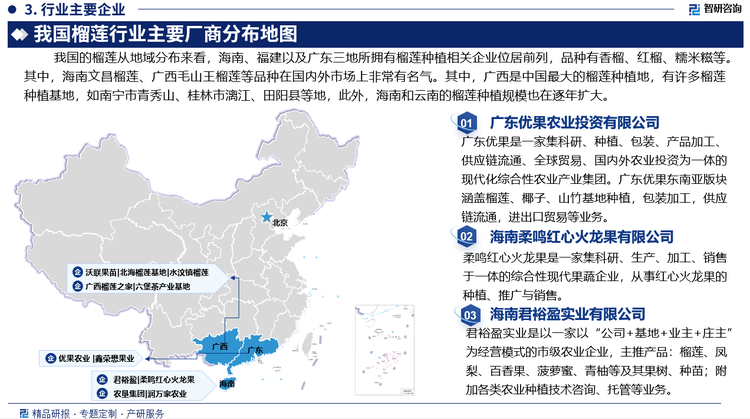 榴莲在中国的南部地区、东南亚国家和印度尼西亚等热带地区广泛种植。中国的榴莲从地域分布来看，海南、福建以及广东，三地所拥有榴莲种植相关企业位居前列，品种有香榴、红榴、糯米糍等。其中，海南文昌榴莲、广西毛山王榴莲等品种在国内外市场上非常有名气。其中，广西是中国最大的榴莲种植地，有许多榴莲种植基地，如南宁市青秀山、桂林市漓江、田阳县等地，此外，海南和云南的榴莲种植规模也在逐年扩大。