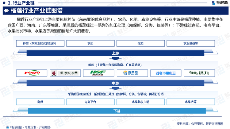 榴莲行业产业链上游主要包括种苗（东南亚的优良品种）、农药、化肥、农业设备等；行业中游是榴莲种植，主要集中在我国海南、广东等地区，采摘后的榴莲经过一系列的加工处理（如保鲜、分类、包装等）；下游经过商超、电商平台、水果批发市场、水果店等渠道销售给广大消费者。